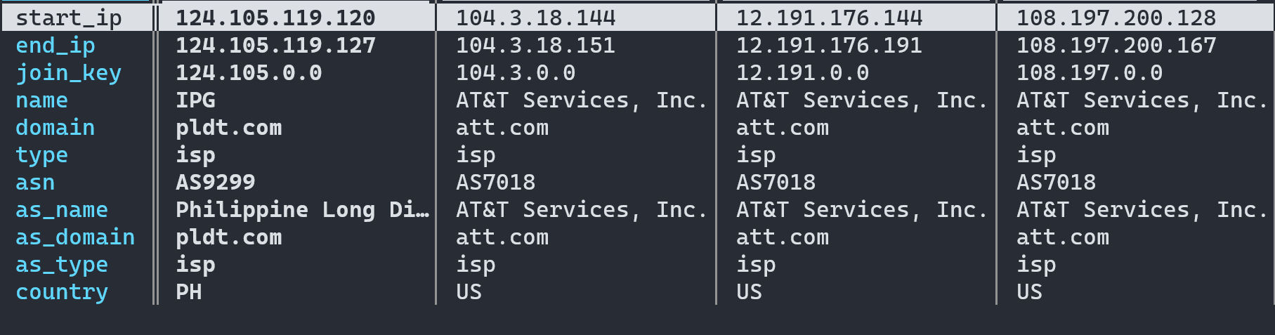 A screen image showing the table provided by our IP to Company Database Download with keys as rows